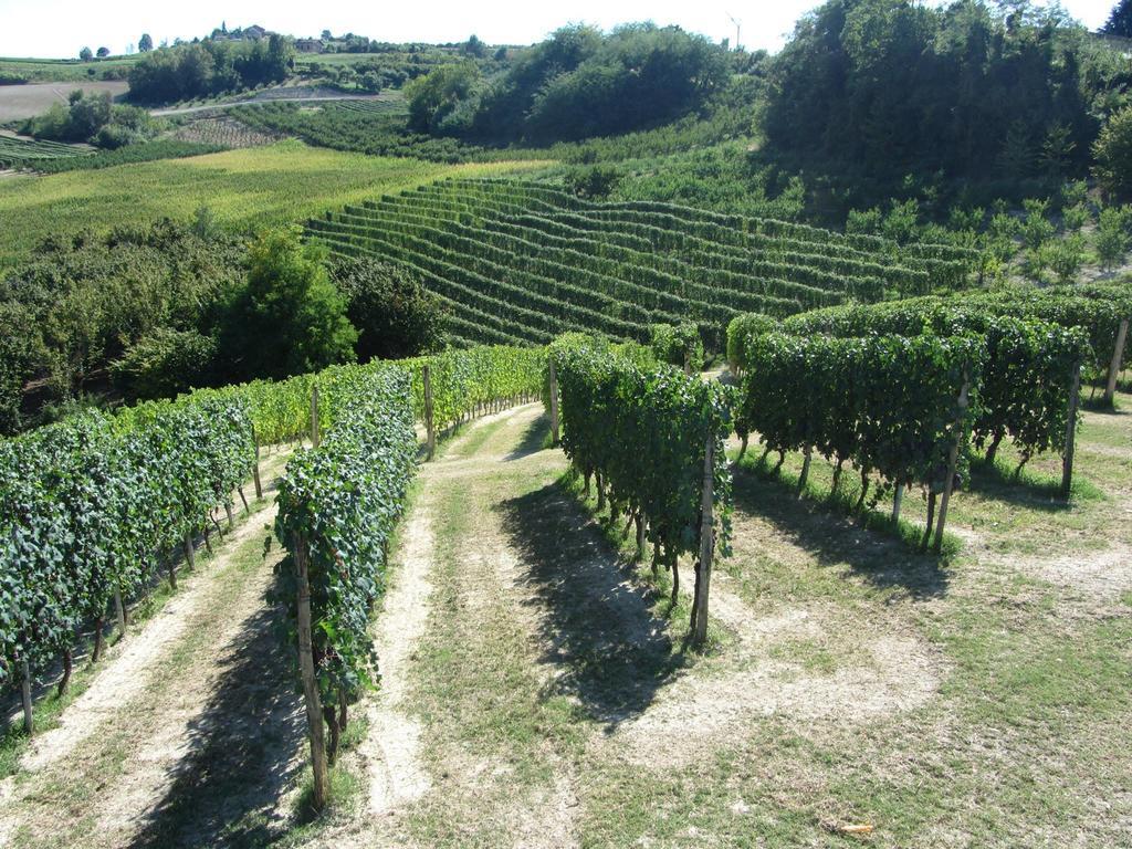 Costa Catterina B&B Castagnito Екстериор снимка